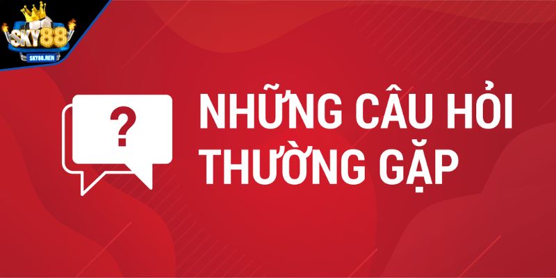 Giải đáp những câu hỏi thường gặp tại sân chơi cá cược 